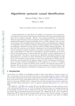 Algorithmic syntactic causal identification