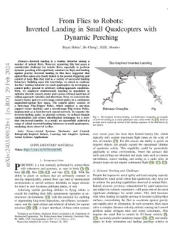 From Flies to Robots: Inverted Landing in Small Quadcopters with Dynamic
  Perching