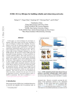 SURE: SUrvey REcipes for building reliable and robust deep networks