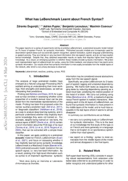 What has LeBenchmark Learnt about French Syntax?