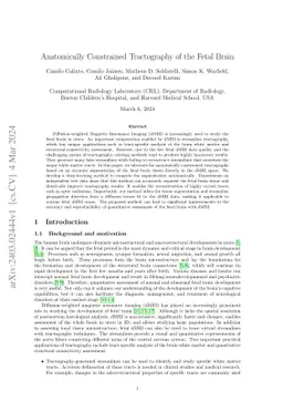 Anatomically Constrained Tractography of the Fetal Brain