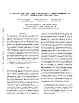 Redefining cystoscopy with ai: bladder cancer diagnosis using an
  efficient hybrid cnn-transformer model