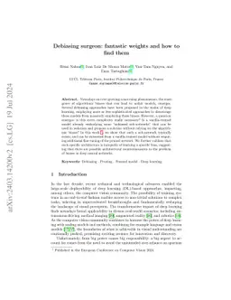 Debiasing surgeon: fantastic weights and how to find them