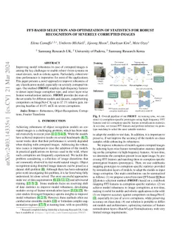 FFT-based Selection and Optimization of Statistics for Robust Recognition of Severely Corrupted Images