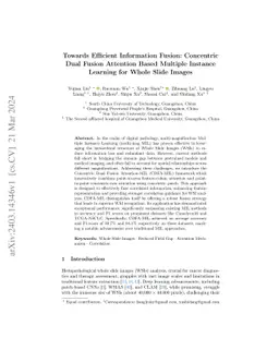 Towards Efficient Information Fusion: Concentric Dual Fusion Attention
  Based Multiple Instance Learning for Whole Slide Images