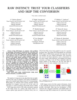 Raw Instinct: Trust Your Classifiers and Skip the Conversion