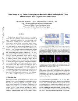 Your Image is My Video: Reshaping the Receptive Field via Image-To-Video
  Differentiable AutoAugmentation and Fusion