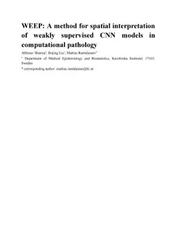 WEEP: A method for spatial interpretation of weakly supervised CNN
  models in computational pathology
