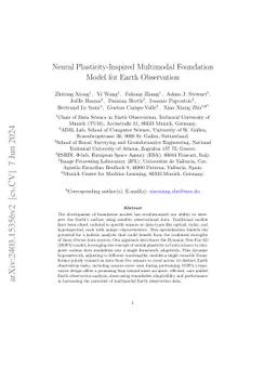 Neural Plasticity-Inspired Multimodal Foundation Model for Earth Observation