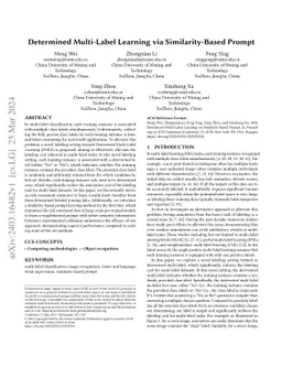 Determined Multi-Label Learning via Similarity-Based Prompt