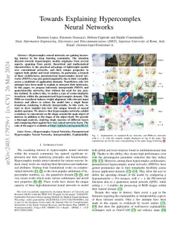 Towards Explaining Hypercomplex Neural Networks