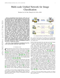 Multi-scale Unified Network for Image Classification