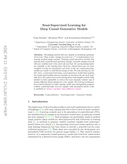 Semi-Supervised Learning for Deep Causal Generative Models