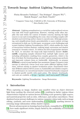 Towards Image Ambient Lighting Normalization