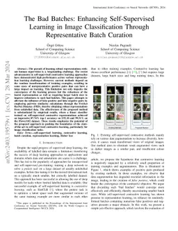 The Bad Batches: Enhancing Self-Supervised Learning in Image
  Classification Through Representative Batch Curation