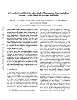A Picture is Worth 500 Labels: A Case Study of Demographic Disparities
  in Local Machine Learning Models for Instagram and TikTok