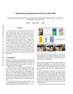 Stable Surface Regularization for Fast Few-Shot NeRF