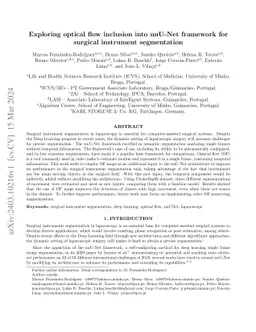Exploring Optical Flow Inclusion into nnU-Net Framework for Surgical
  Instrument Segmentation