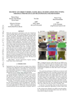 Segment Any Object Model (SAOM): Real-to-Simulation Fine-Tuning Strategy
  for Multi-Class Multi-Instance Segmentation