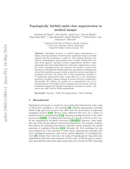 Topologically faithful multi-class segmentation in medical images