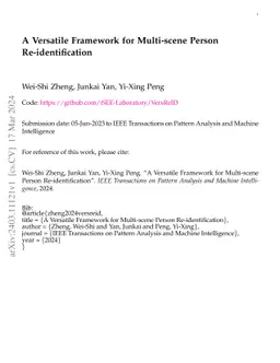 A Versatile Framework for Multi-scene Person Re-identification