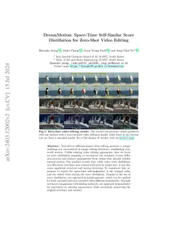 DreamMotion: Space-Time Self-Similar Score Distillation for Zero-Shot
  Video Editing