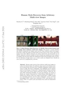 Human Mesh Recovery from Arbitrary Multi-view Images