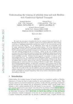 Understanding the training of infinitely deep and wide ResNets with Conditional Optimal Transport