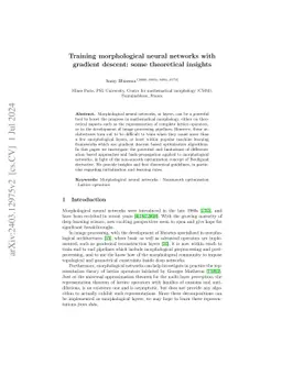 Training morphological neural networks with gradient descent: some
  theoretical insights