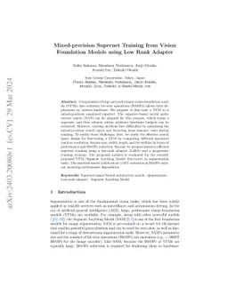 Mixed-precision Supernet Training from Vision Foundation Models using
  Low Rank Adapter