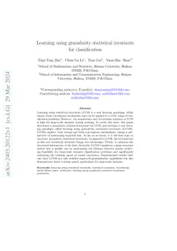 Learning using granularity statistical invariants for classification
