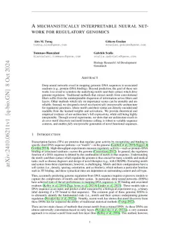 A mechanistically interpretable neural network for regulatory genomics