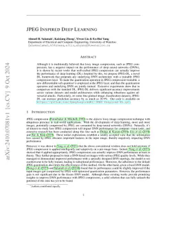 JPEG Inspired Deep Learning