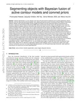 Segmenting objects with Bayesian fusion of active contour models and
  convnet priors