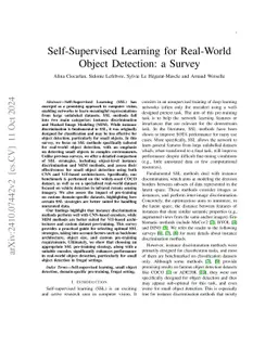 Self-Supervised Learning for Real-World Object Detection: a Survey