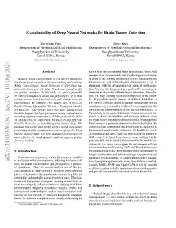 Explainability of Deep Neural Networks for Brain Tumor Detection
