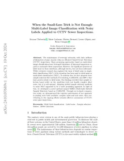 When the Small-Loss Trick is Not Enough: Multi-Label Image
  Classification with Noisy Labels Applied to CCTV Sewer Inspections