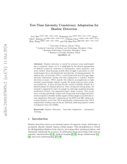 Test-Time Intensity Consistency Adaptation for Shadow Detection