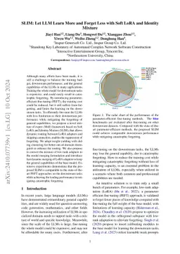 SLIM: Let LLM Learn More and Forget Less with Soft LoRA and Identity Mixture