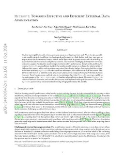 MYCROFT: Towards Effective and Efficient External Data Augmentation