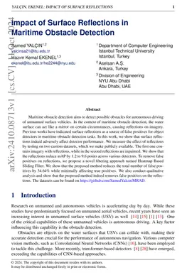 Impact of Surface Reflections in Maritime Obstacle Detection