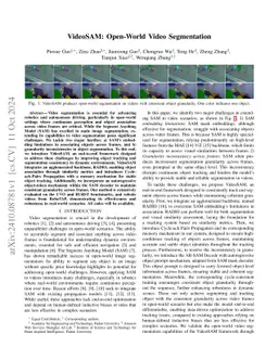 VideoSAM: Open-World Video Segmentation
