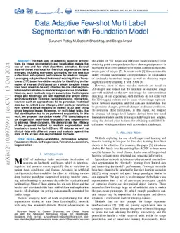 Data Adaptive Few-shot Multi Label Segmentation with Foundation Model