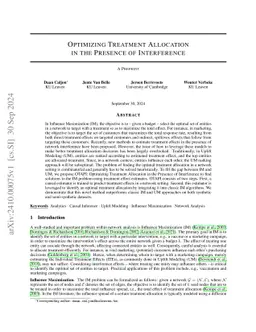 Optimizing Treatment Allocation in the Presence of Interference