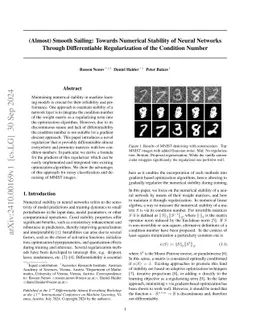 (Almost) Smooth Sailing: Towards Numerical Stability of Neural Networks
  Through Differentiable Regularization of the Condition Number