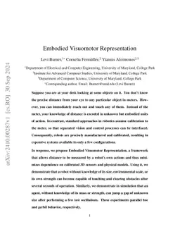 Embodied Visuomotor Representation