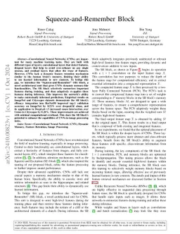 Squeeze-and-Remember Block