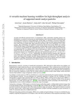 A versatile machine learning workflow for high-throughput analysis of
  supported metal catalyst particles