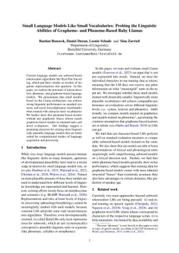 Small Language Models Also Work With Small Vocabularies: Probing the Linguistic Abilities of Grapheme- and Phoneme-Based Baby Llamas