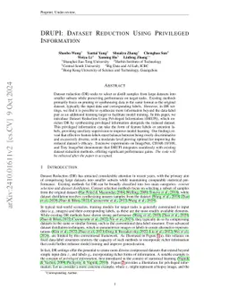 DRUPI: Dataset Reduction Using Privileged Information